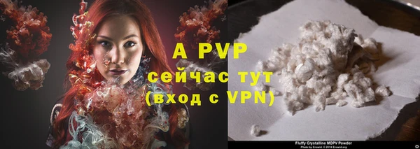 мдпв Пестово