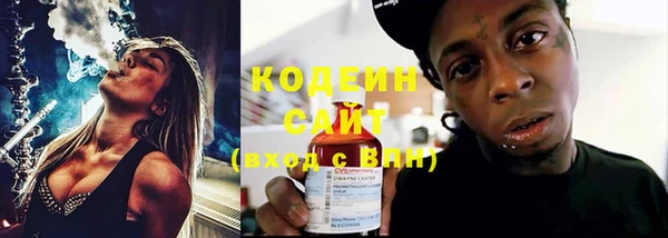 крисы Осинники