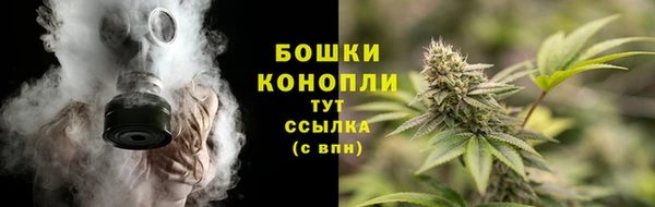мдпв Пестово