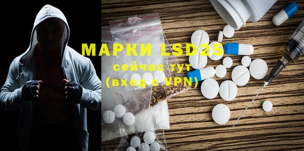 крисы Осинники