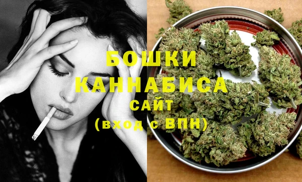 крисы Осинники